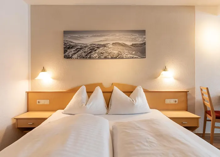 Edelweiss Lejlighed Ladis